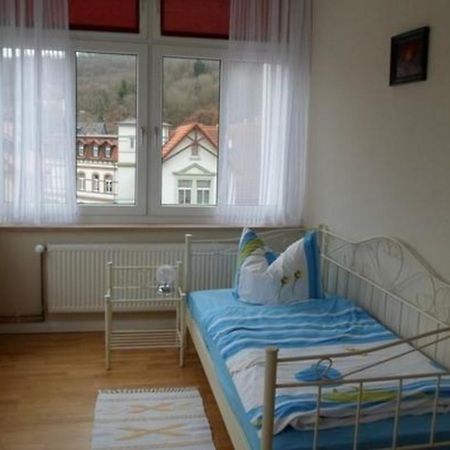 Wohnung In Blankenburg Harz Mit Grill, Garten Und Terrasse מראה חיצוני תמונה